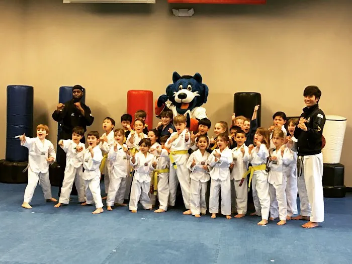 World TaeKwonDO(Master KJ‘s) Picture 3
