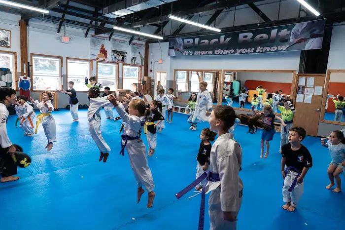 World TaeKwonDO(Master KJ‘s) Picture 2