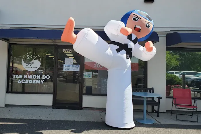 Song Taekwondo Academy Picture 1
