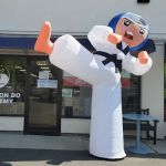 Song Taekwondo Academy