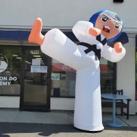 Song Taekwondo Academy ico