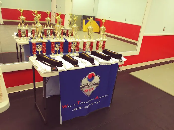 Won's Taekwondo Academy Picture 1