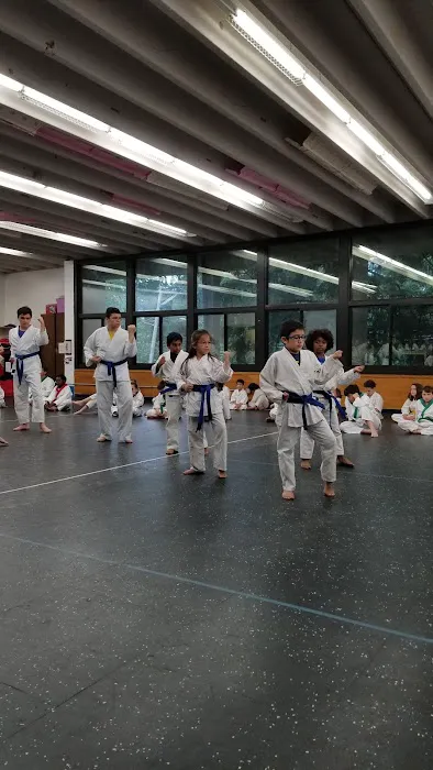 Norwalk Tang Soo Do Picture 1