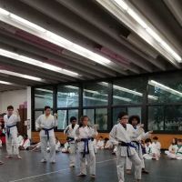 Norwalk Tang Soo Do ico
