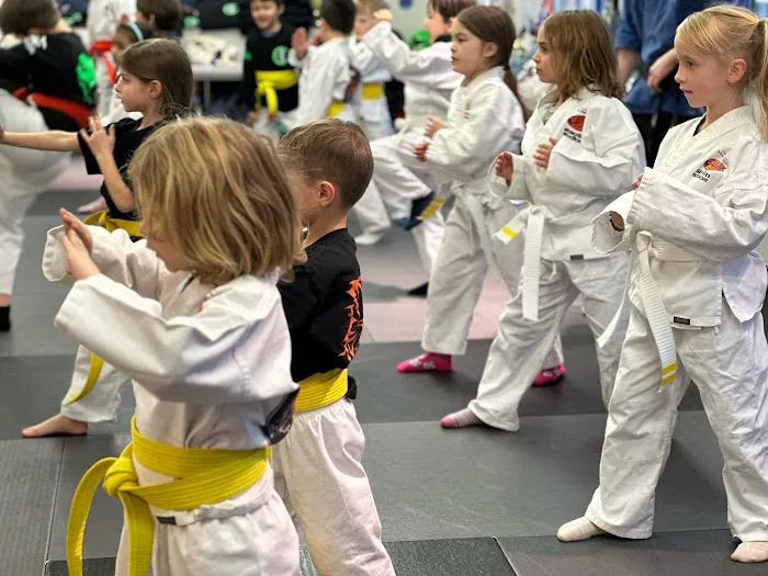 SDSS Martial Arts of Wilton Picture 1