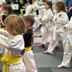 SDSS Martial Arts of Wilton