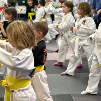 SDSS Martial Arts of Wilton ico
