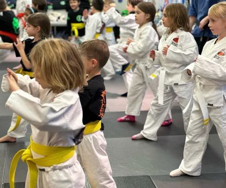 SDSS Martial Arts of Wilton