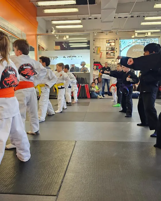 SDSS Martial Arts of Wilton Picture 3