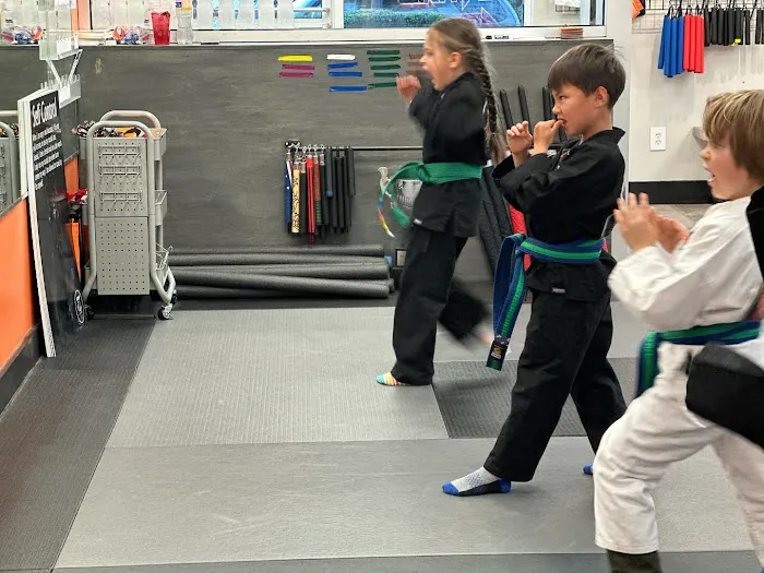 SDSS Martial Arts of Wilton Picture 6