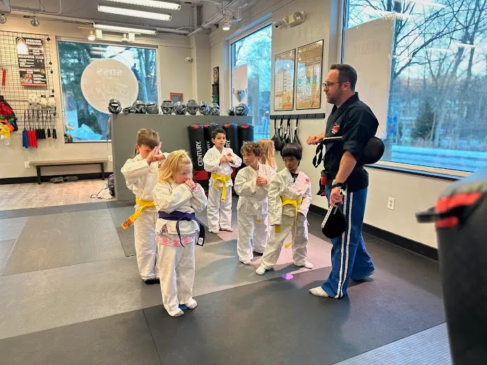 SDSS Martial Arts of Wilton Picture 8