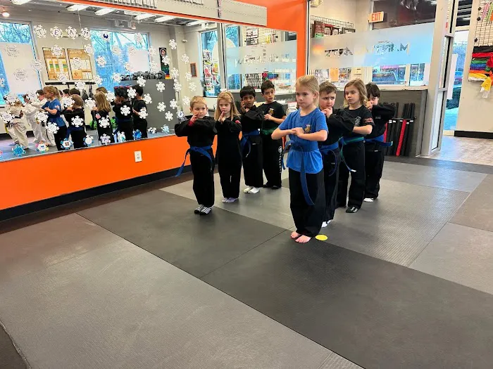 SDSS Martial Arts of Wilton Picture 10