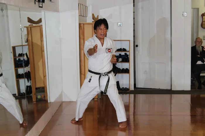 Takahashi Karate Dojo Picture 2