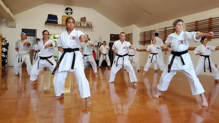Takahashi Karate Dojo Picture 6