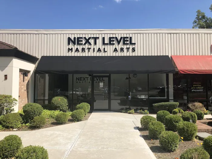 Next Level Martial Arts Picture 1