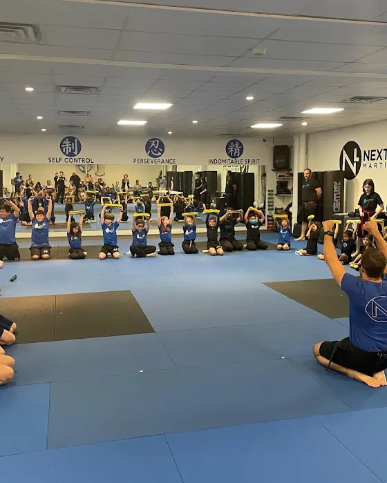 Next Level Martial Arts Picture 5