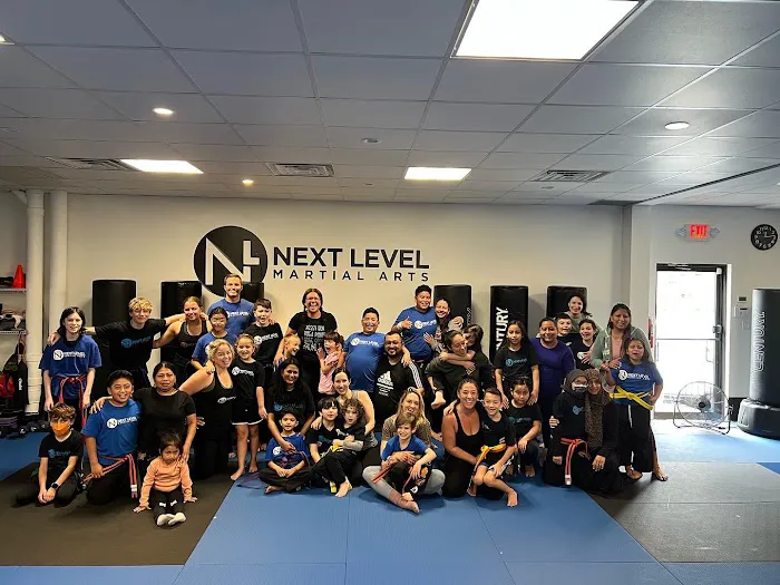 Next Level Martial Arts Picture 6