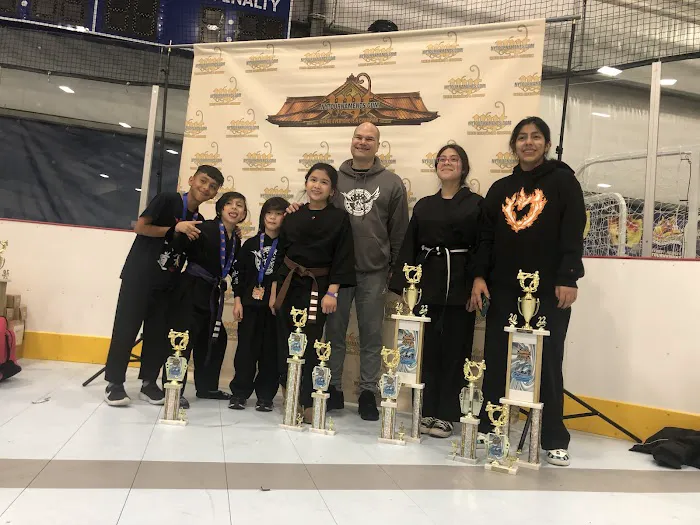 Marti Martial Arts Academy Picture 2