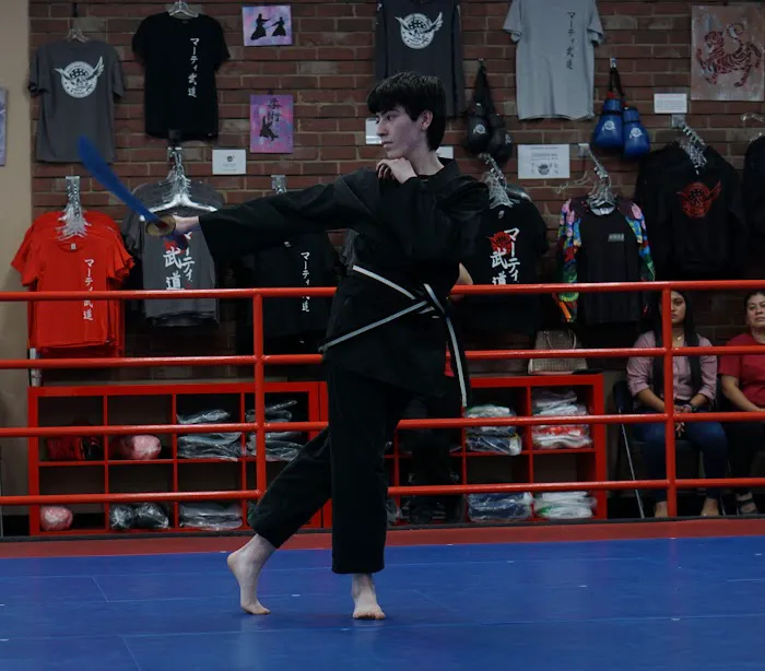 Marti Martial Arts Academy Picture 4