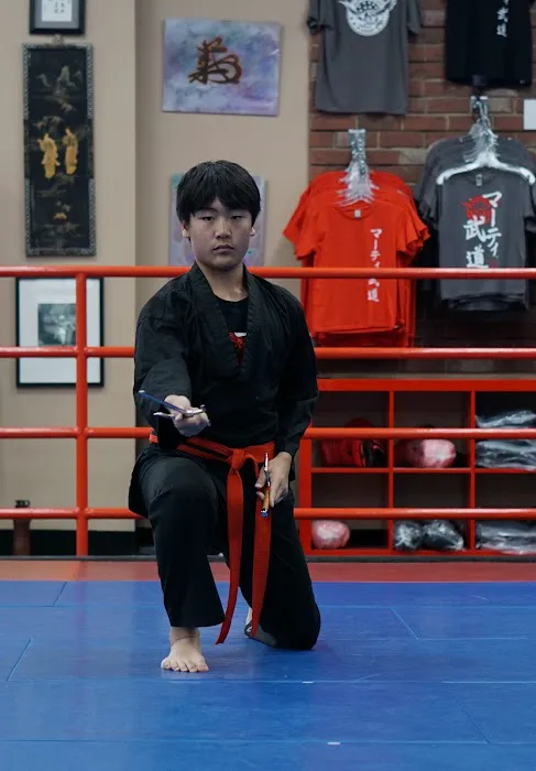 Marti Martial Arts Academy Picture 6