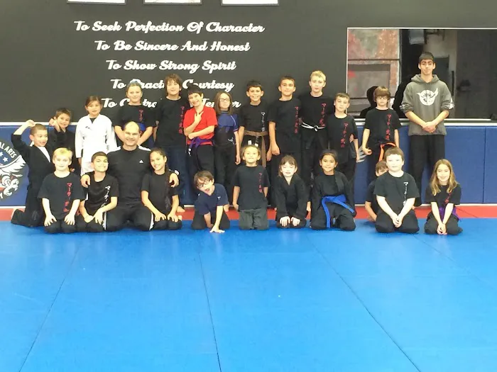 Marti Martial Arts Academy Picture 7