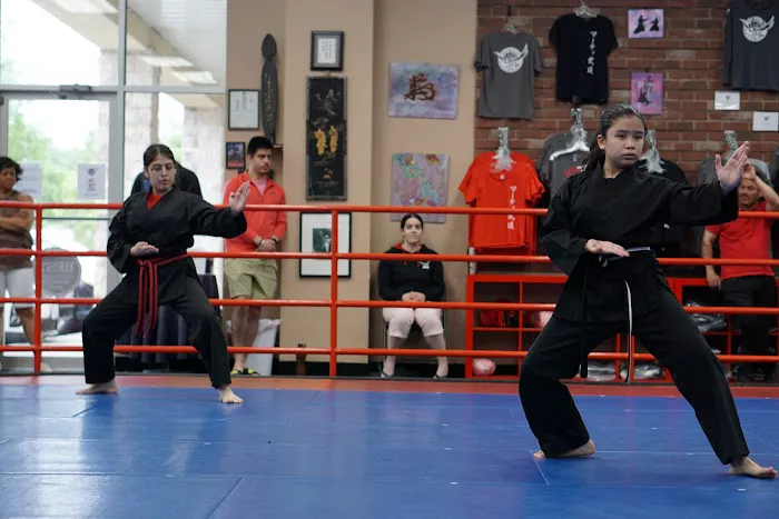 Marti Martial Arts Academy Picture 8