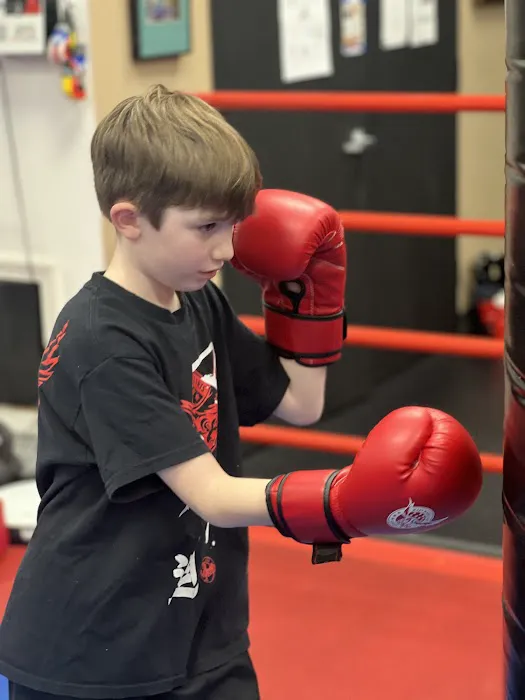 Marti Martial Arts Academy Picture 10
