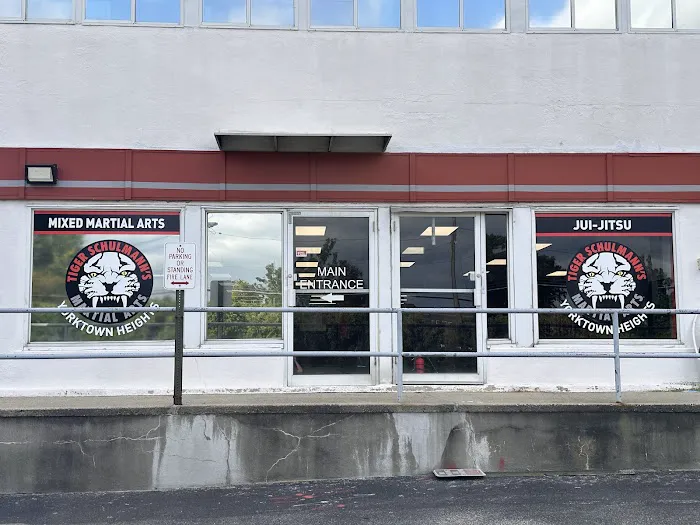 Tiger Schulmann's Martial Arts Yorktown Heights Picture 2