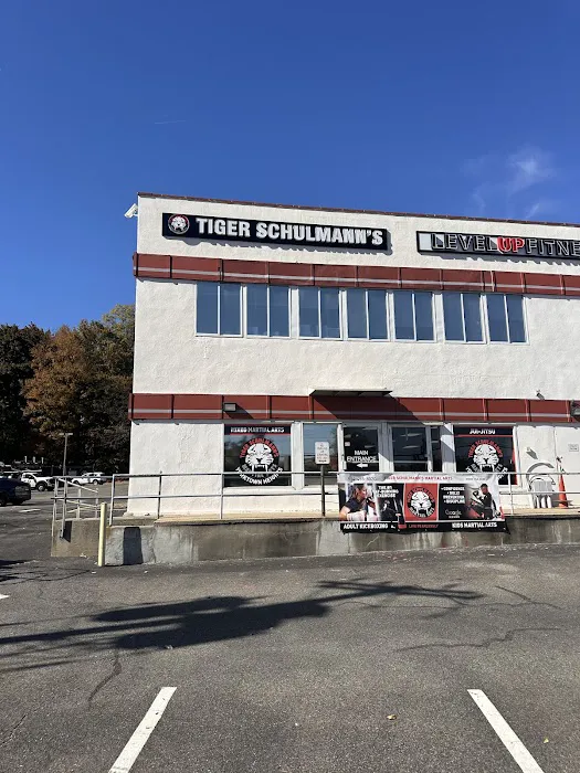 Tiger Schulmann's Martial Arts Yorktown Heights Picture 1