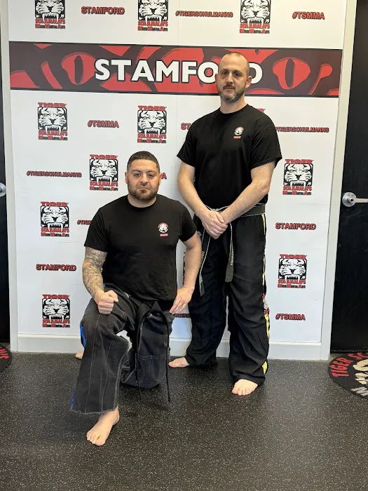 Tiger Schulmann's Martial Arts Yorktown Heights Picture 4
