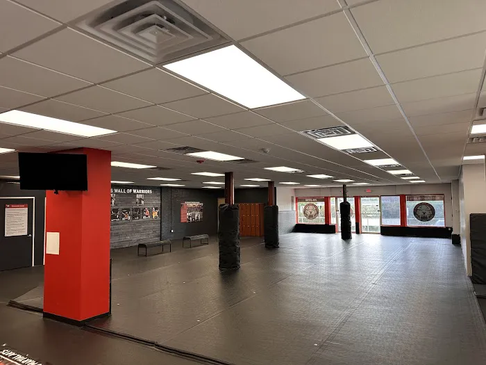 Tiger Schulmann's Martial Arts Yorktown Heights Picture 3