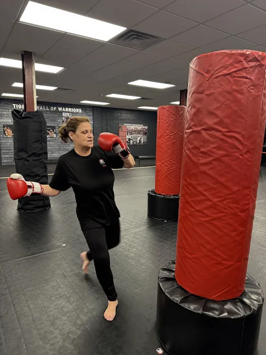 Tiger Schulmann's Martial Arts Yorktown Heights Picture 8