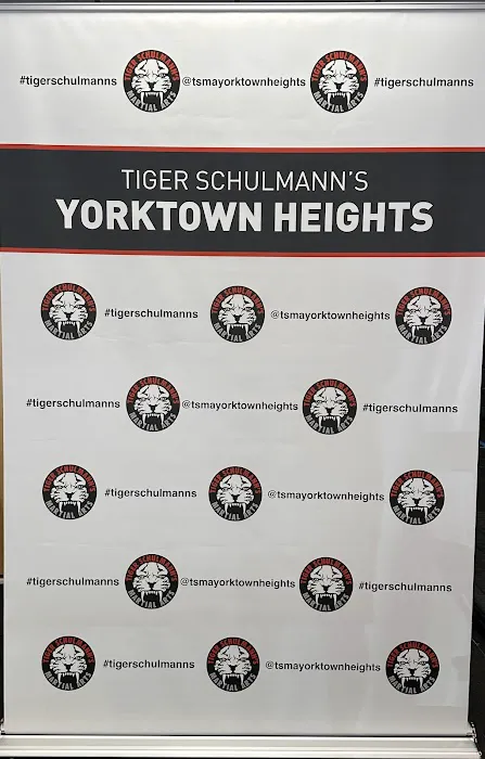 Tiger Schulmann's Martial Arts Yorktown Heights Picture 7