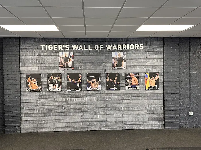 Tiger Schulmann's Martial Arts Yorktown Heights Picture 6
