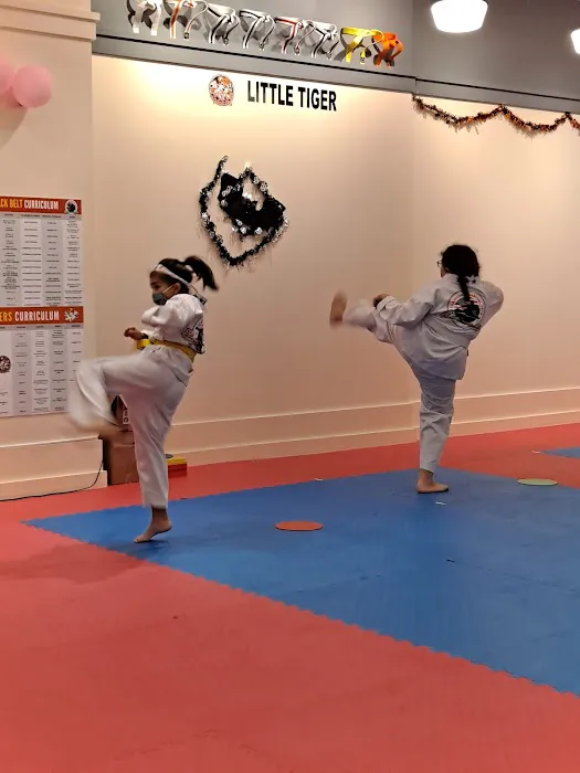 Champions Martial Arts Picture 8