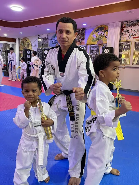 Kukkiwon Taekwondo Academy Picture 3
