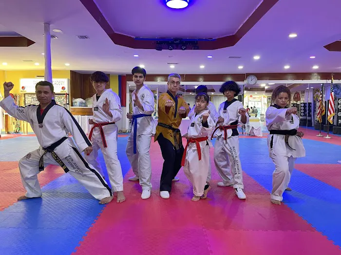 Kukkiwon Taekwondo Academy Picture 2