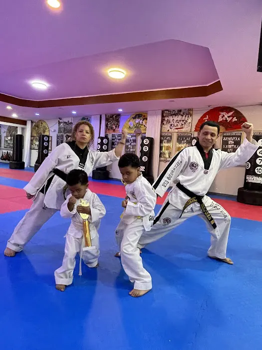 Kukkiwon Taekwondo Academy Picture 6