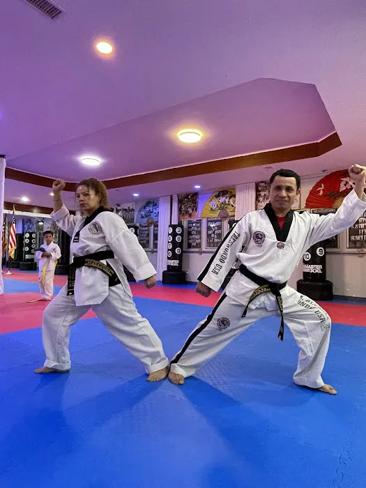 Kukkiwon Taekwondo Academy Picture 4