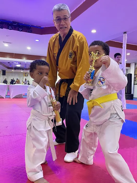 Kukkiwon Taekwondo Academy Picture 7