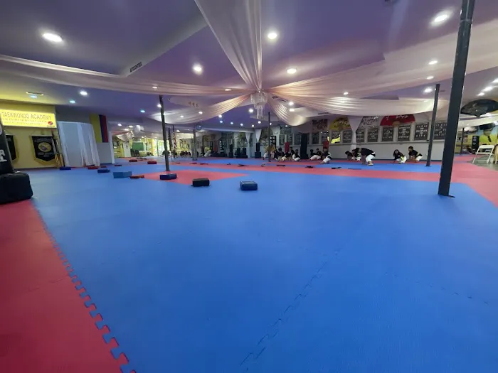Kukkiwon Taekwondo Academy Picture 8