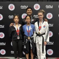 High Performance Martial Arts ico