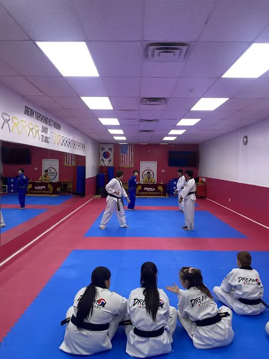 Dream Tae Kwon Do - Martial Arts Picture 2