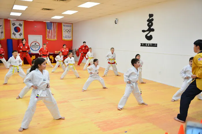 Dream Tae Kwon Do - Martial Arts Picture 3