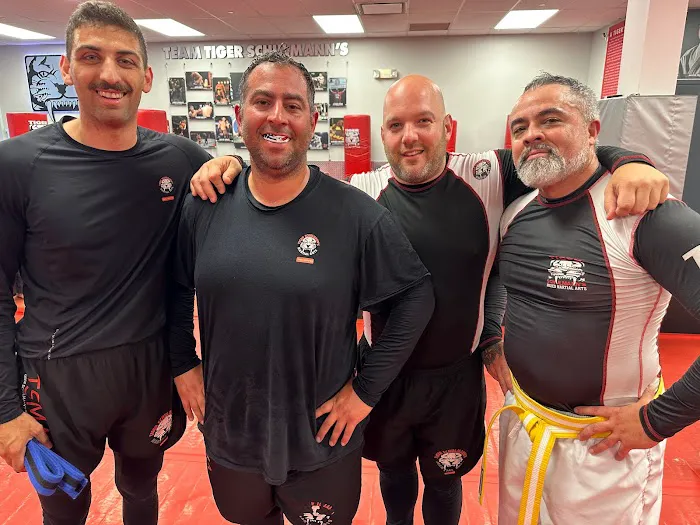 Tiger Schulmann's Martial Arts (Huntington, NY) Picture 3