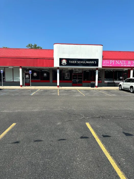 Tiger Schulmann's Martial Arts (Huntington, NY) Picture 4