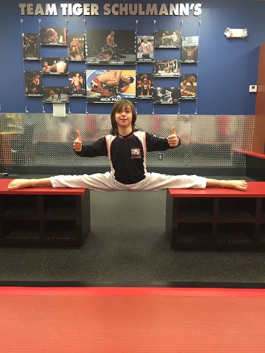 Tiger Schulmann's Martial Arts (Huntington, NY) Picture 5