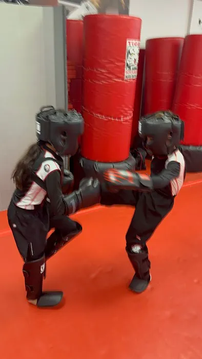 Tiger Schulmann's Martial Arts (Huntington, NY) Picture 8