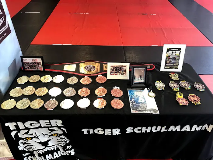 Tiger Schulmann's Martial Arts (Huntington, NY) Picture 6