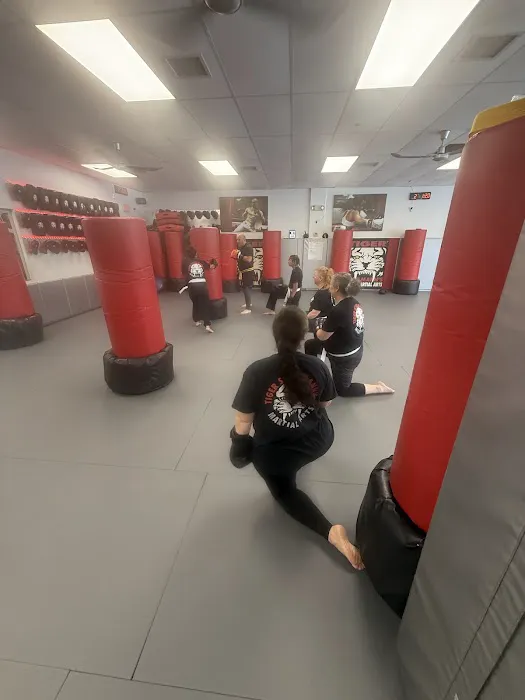 Tiger Schulmann's Martial Arts (Huntington, NY) Picture 10